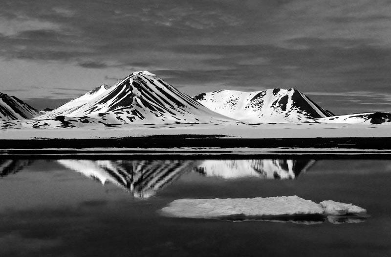 reflections.jpg