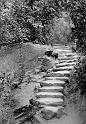 pathway
