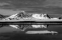 reflections