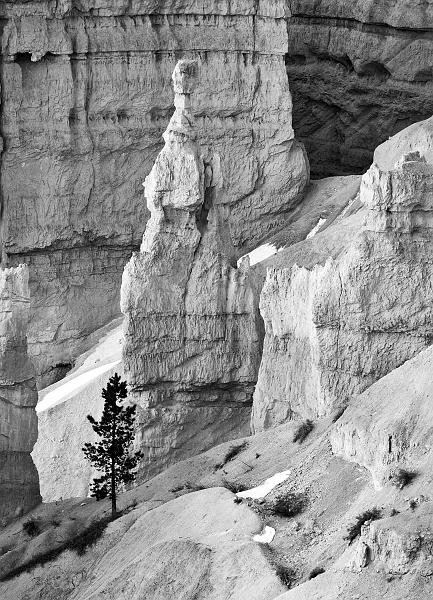 _MG_4749bw.jpg