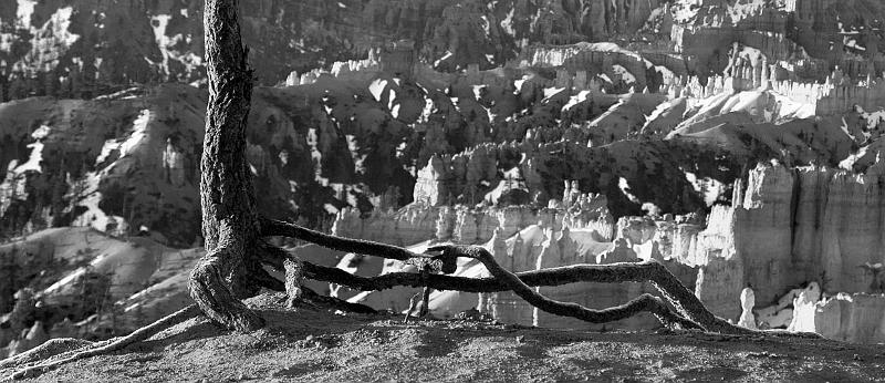 _MG_4771v3bw.jpg