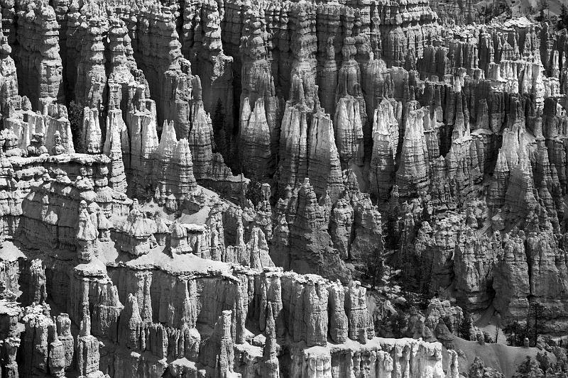_MG_5003bw.jpg