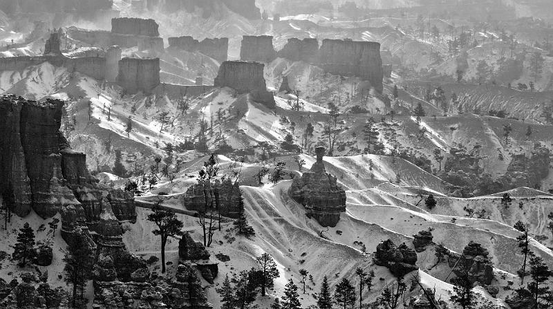_MG_5336v2bw.jpg