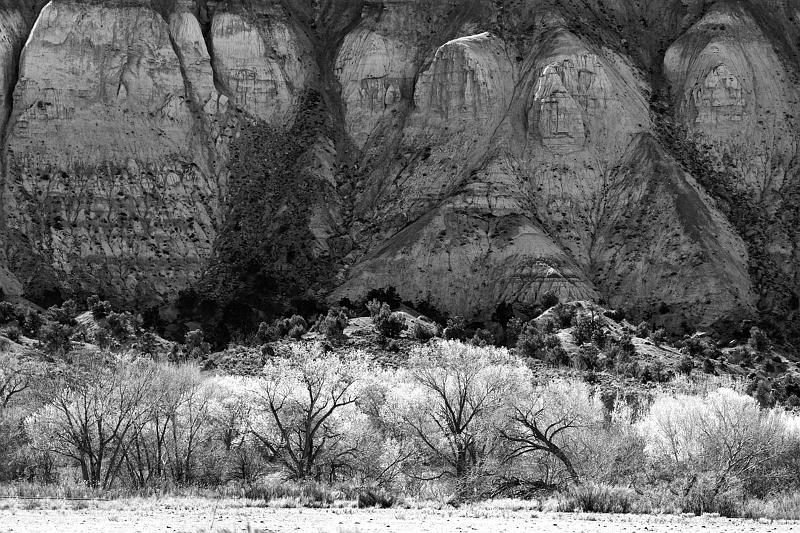 _MG_5873bw.jpg