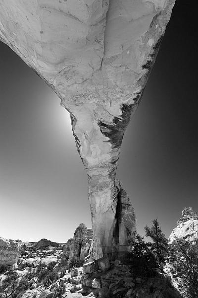 _MG_6353bw.jpg