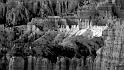 _MG_4752bw-v2