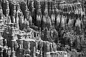 _MG_5003bw