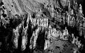 _MG_5287bw