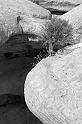 _MG_6293bw
