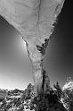 _MG_6353bw