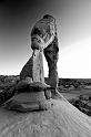 _MG_7543bw