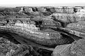 _MG_7656bw