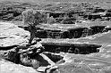 _MG_7961-62bw