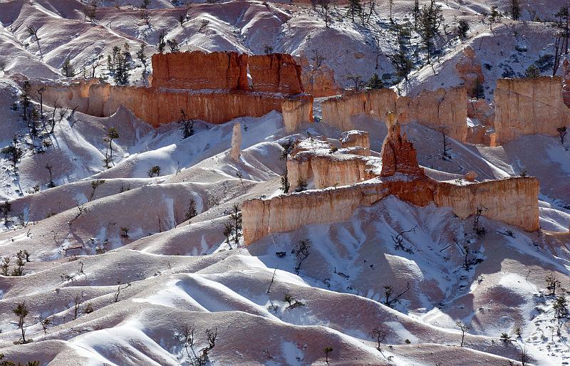 _MG_5397.jpg