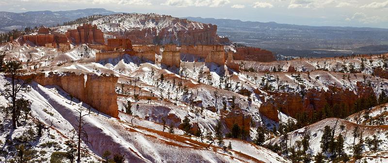 _MG_5462.jpg