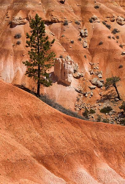 _MG_5654v2.jpg