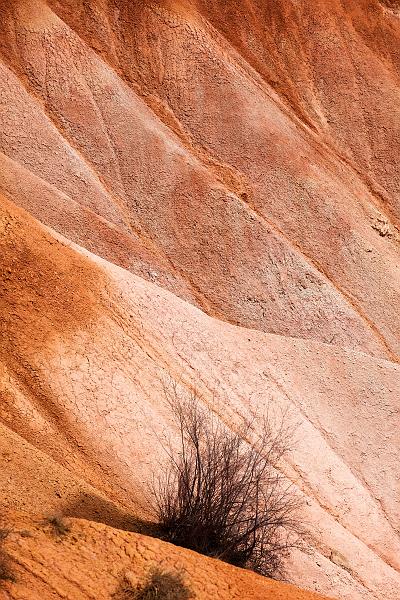_MG_5660.jpg