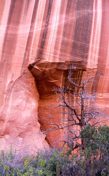 _MG_6152.jpg
