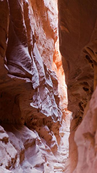 _MG_6952.jpg